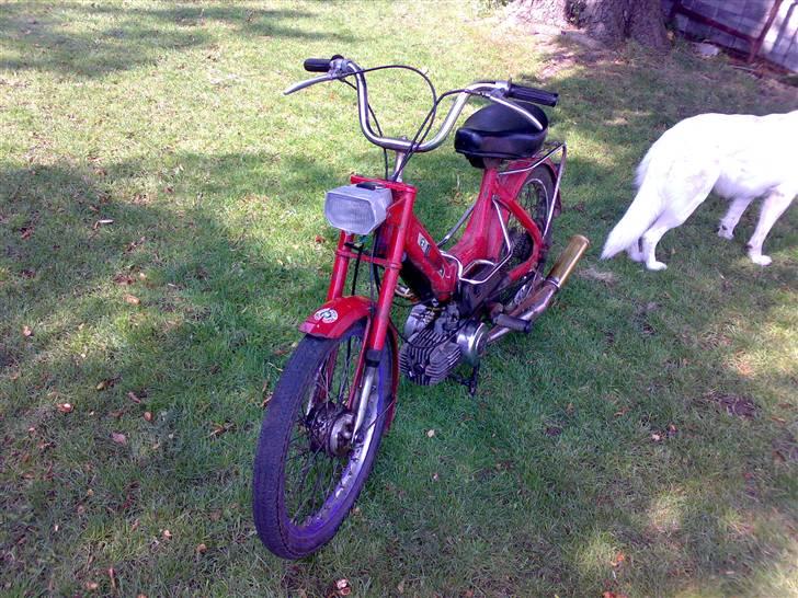 Puch Maxi K billede 12
