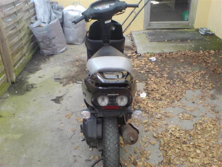 Honda Sfx PerlemorSort <Solgt> billede 2