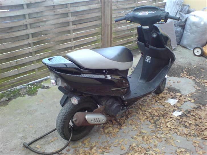 Honda Sfx PerlemorSort <Solgt> billede 7