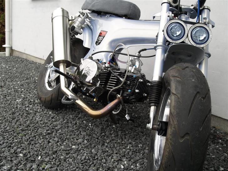 Honda Dax Loud'n'fast custom billede 1