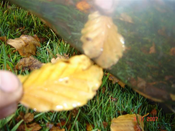 Yamaha bws spy "byttet" - det kalder man højglans billede 7