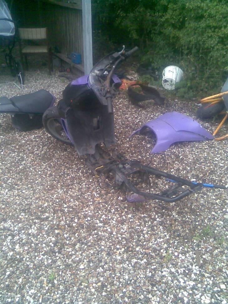 Aprilia rally billede 6