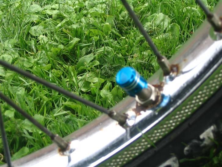 Puch maxi k   Solgt.  billede 12