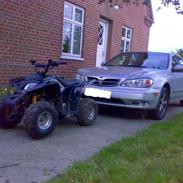 MiniBike Honda licens atv