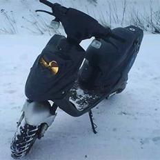 PGO hot 50  ( SOLGT )