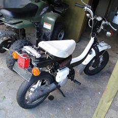 Suzuki FZ50