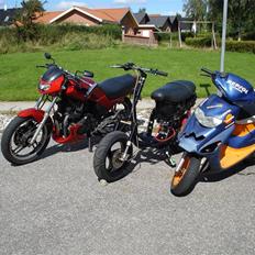 Piaggio typhoon (solgt i dele)