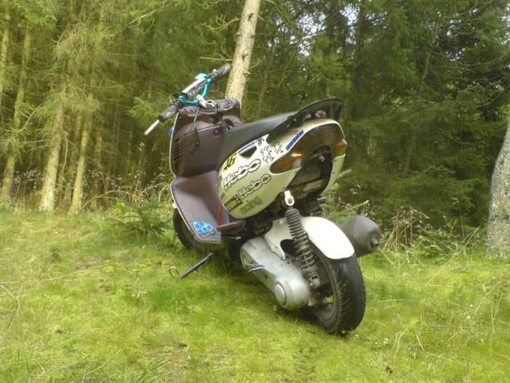 Aprilia sonic GP.før. dalle - en tur i skoven  billede 4