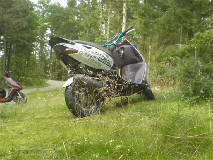 Aprilia sonic GP.før. dalle - en tur i skoven   billede 5