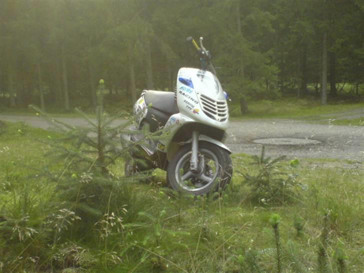 Aprilia sonic GP.før. dalle - en nice bilede i skoven   billede 6