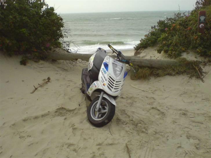 Aprilia sonic GP.før. dalle - nice bilede med vester havet bag ved  billede 7