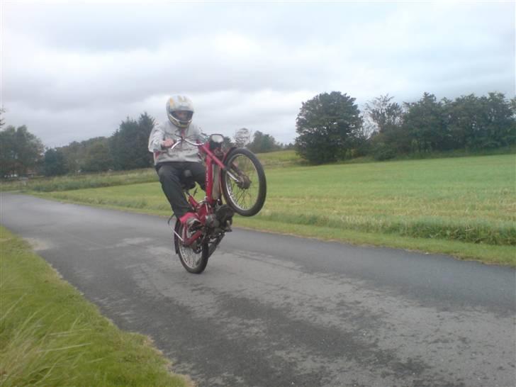 Puch Maxi P  billede 17