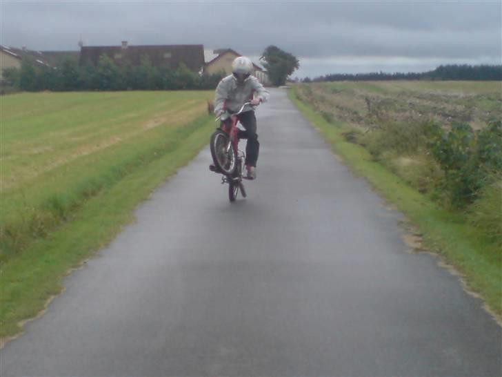 Puch Maxi P  billede 19