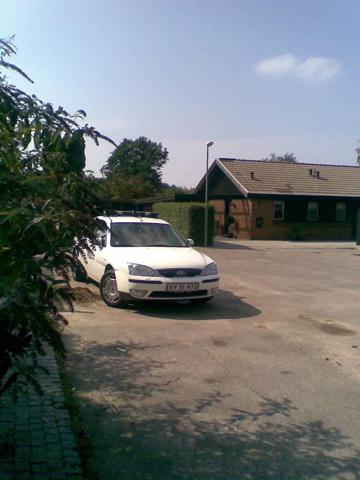 PGO hot 50 sp  - panser hjemme hos mig :( billede 18