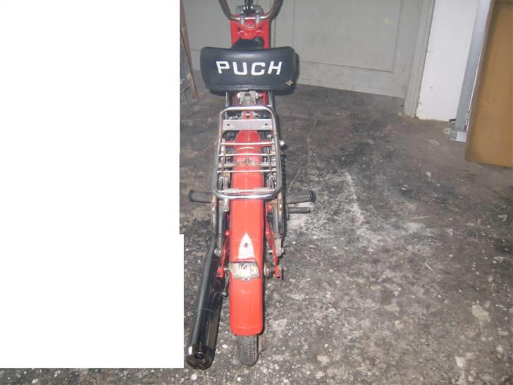 Puch maxi KL (FØR) billede 5
