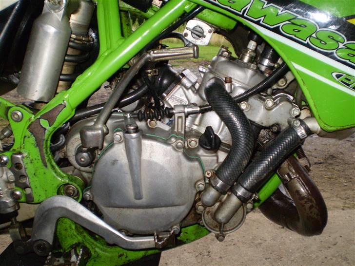 Kawasaki Kx 80 Høj billede 7