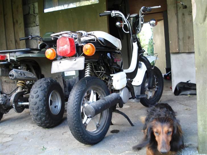 Suzuki FZ50 billede 4