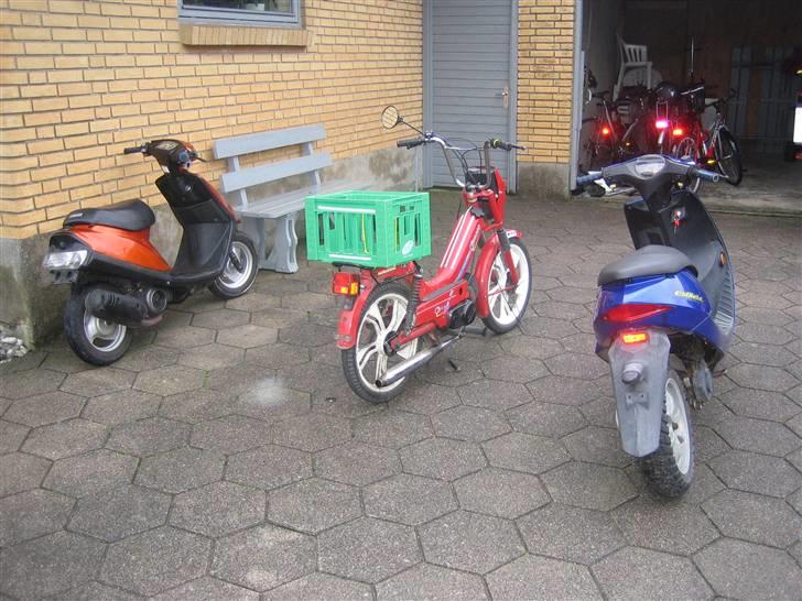 Tomos quadro § SOLGT billede 5