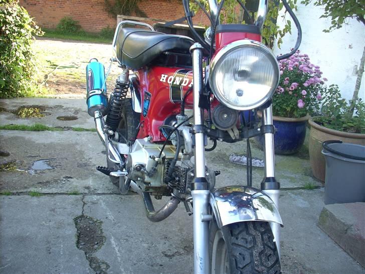 Jincheng Dax  billede 1