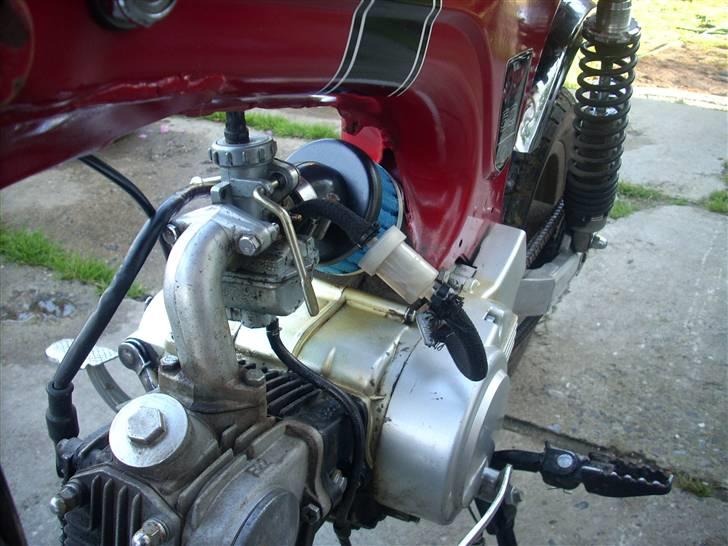 Jincheng Dax  billede 4