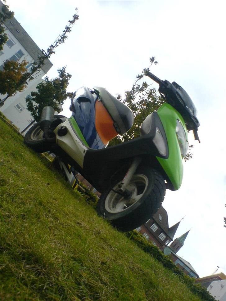 Honda SFX [ SOLGT ] billede 4