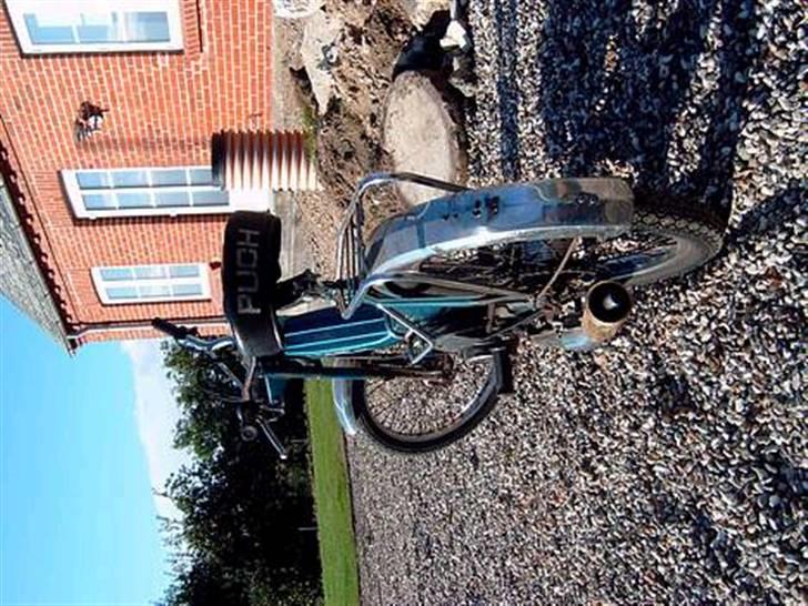 Puch Maxi k    *solgt* billede 5