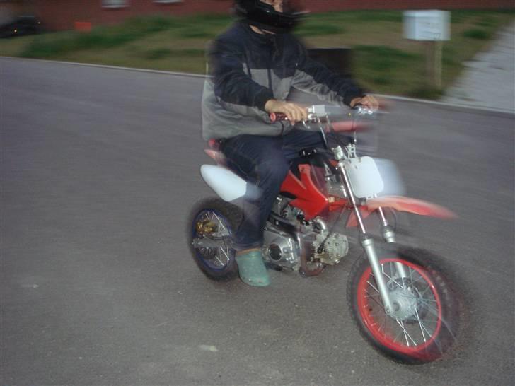 MiniBike 125 cc crosser [solgt] billede 8