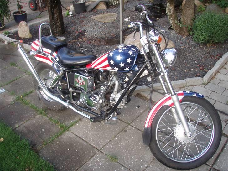 Regal raptor billede 1