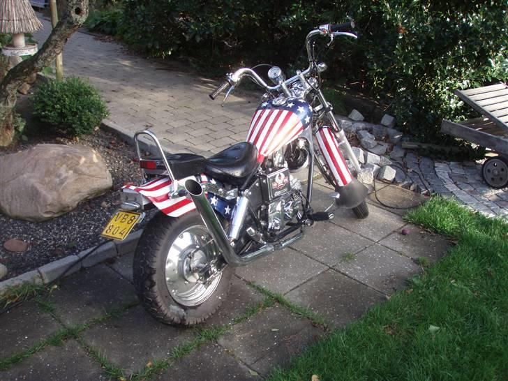 Regal raptor billede 2