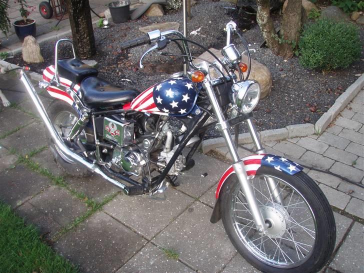 Regal raptor billede 3