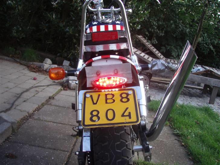 Regal raptor billede 6