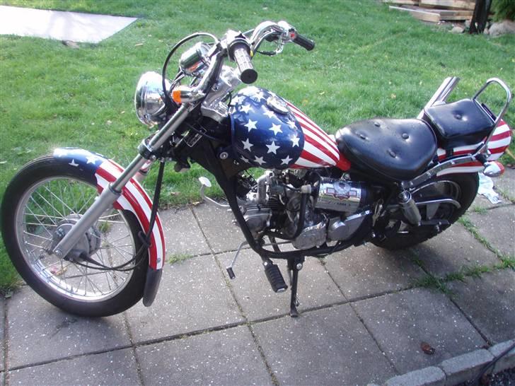 Regal raptor billede 7