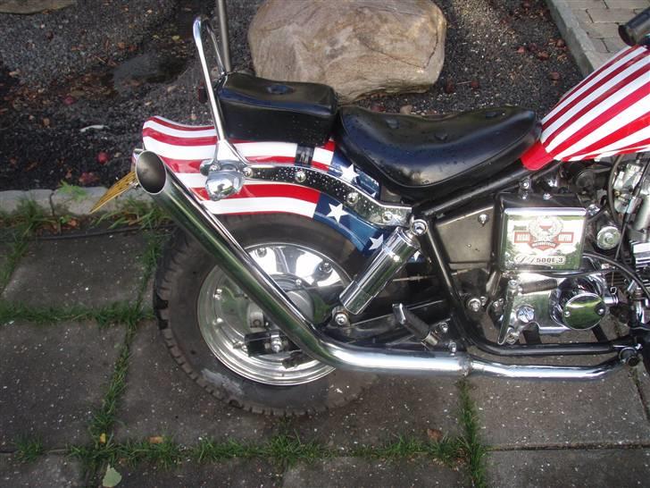 Regal raptor billede 8