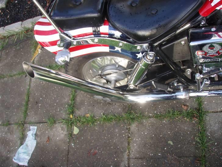 Regal raptor billede 9