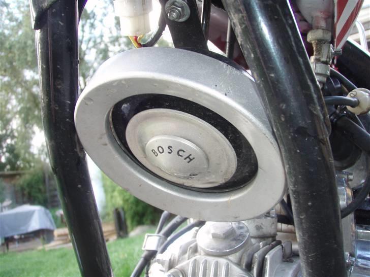 Regal raptor billede 14