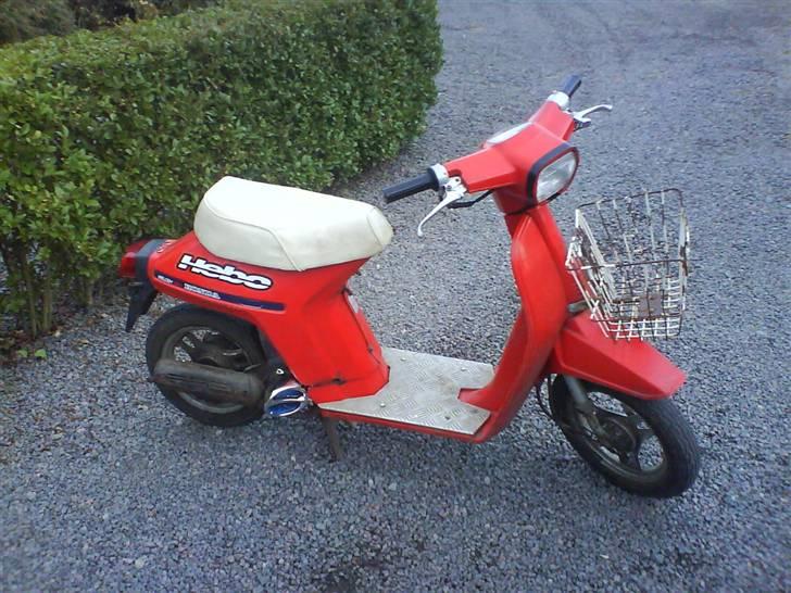 Honda Melody (SOLGT) - sweety :´] billede 1