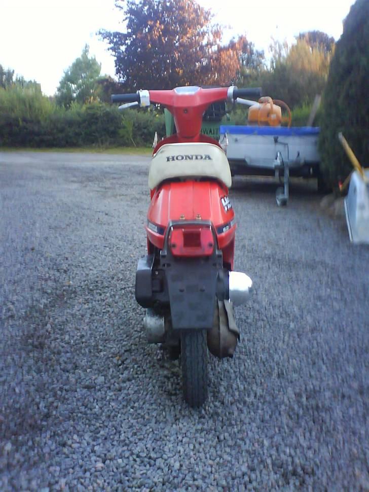 Honda Melody (SOLGT) billede 4