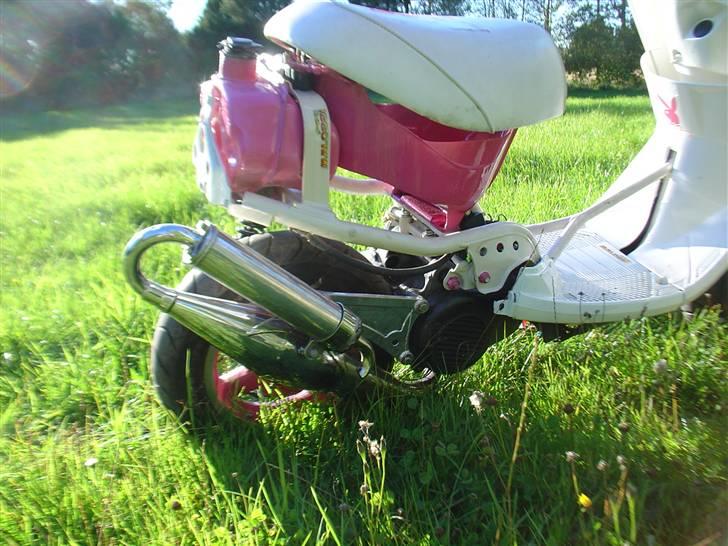 Yamaha SOLGT billede 1