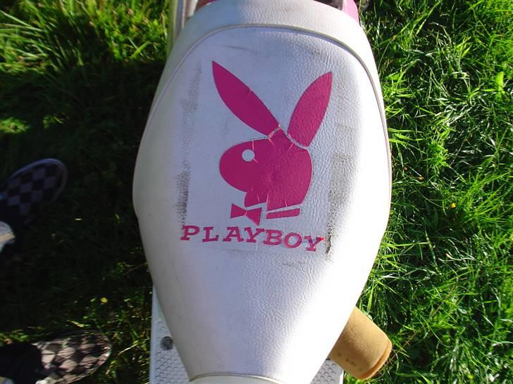 Yamaha SOLGT billede 6