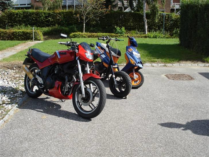 Piaggio typhoon (solgt i dele) billede 12