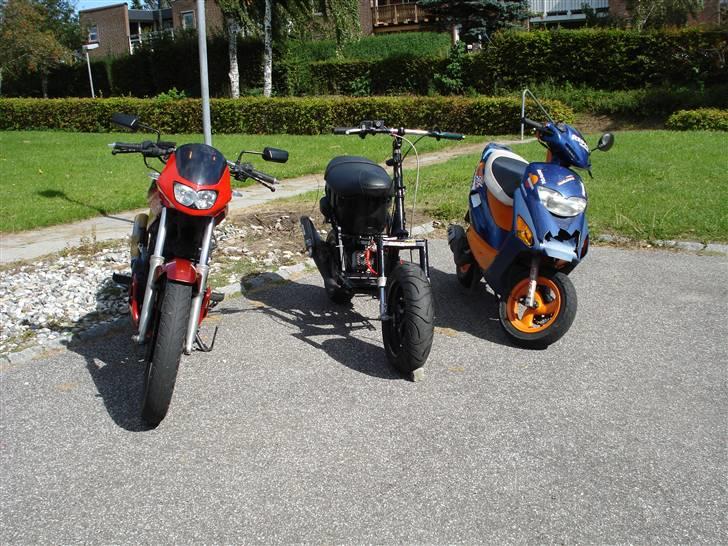 Piaggio typhoon (solgt i dele) billede 13