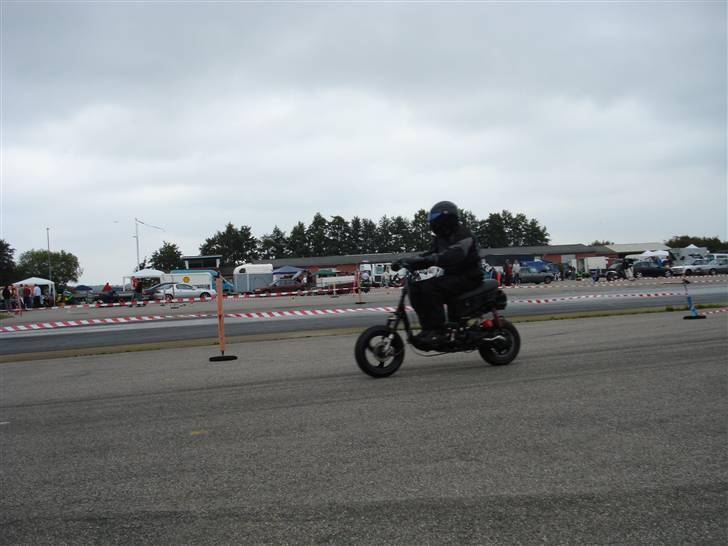 Piaggio typhoon (solgt i dele) - fra alstræf billede 15