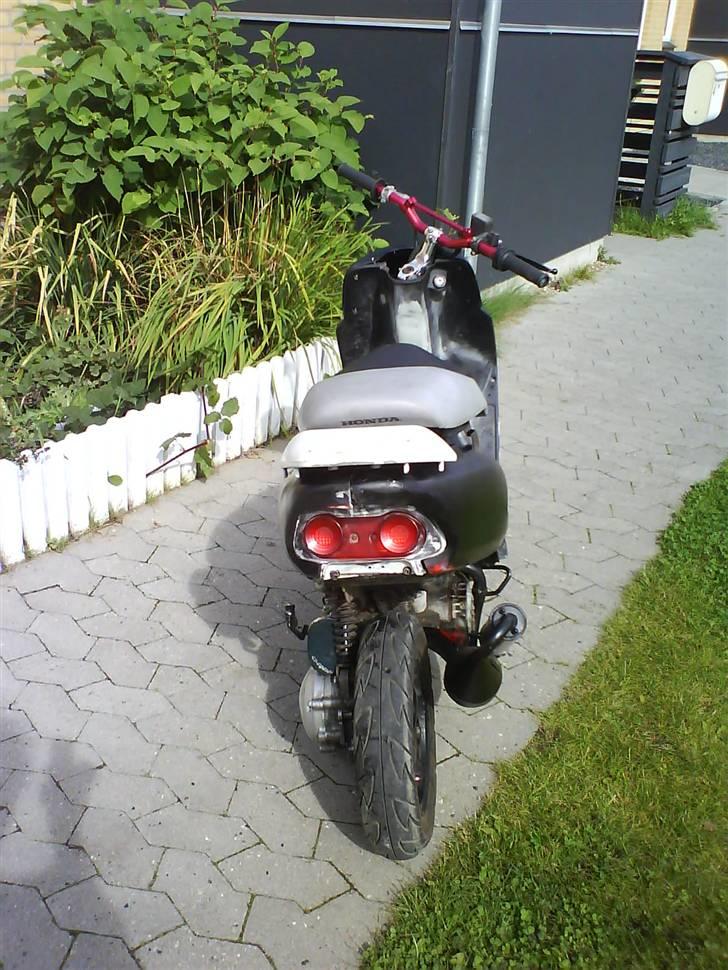 Honda sfx bytte til cpi billede 5