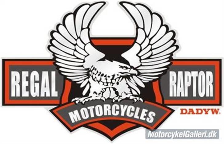 Regal raptor  billede 11