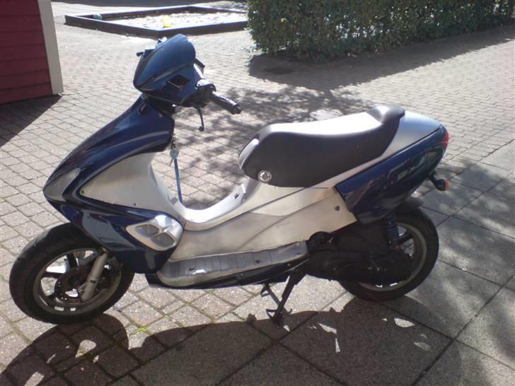 Benelli 491 tilsalg/bytte billede 4