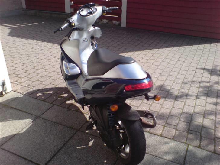 Benelli 491 tilsalg/bytte billede 5