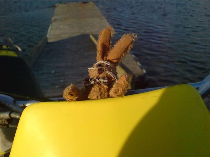 Suzuki Rmx (solgt) billede 8