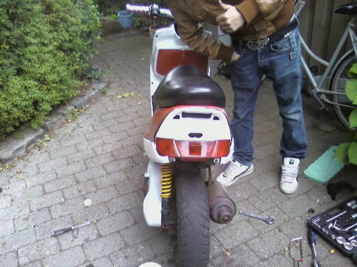 Adly Falcon PROJEKT Solgt billede 7