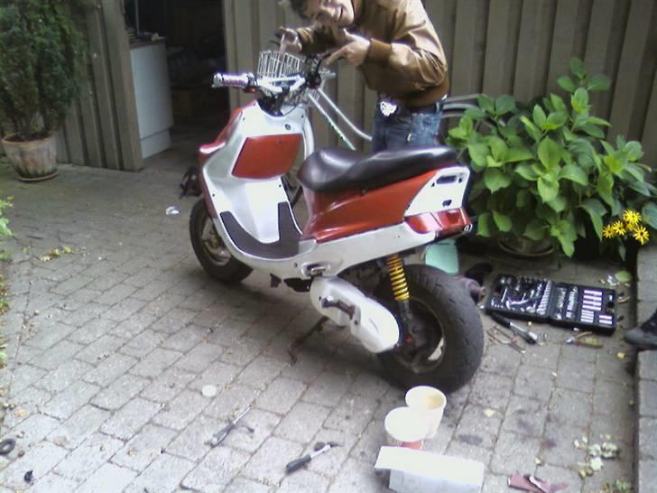 Adly Falcon PROJEKT Solgt billede 8