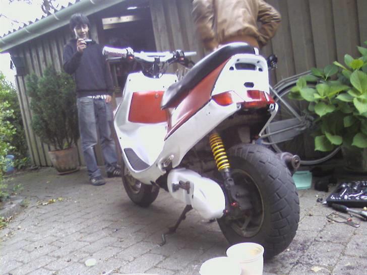 Adly Falcon PROJEKT Solgt billede 9